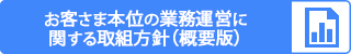 概要版